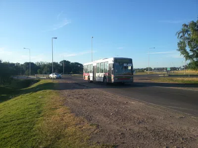 Colectivo Diferencial D4 Cba