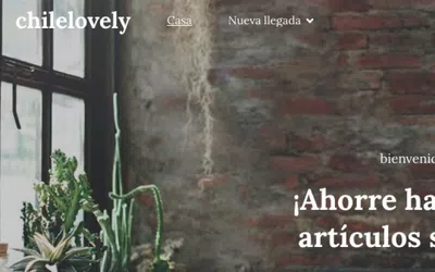 No recibí el artículo por el que pague