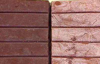 Chocolate aguila con hongos