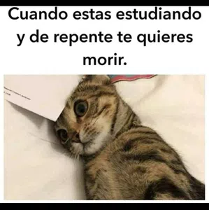 Becas progresar