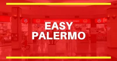 Sillon partido