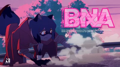 Bna+ no escanea documento