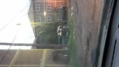 Pasen a recolectar la basura