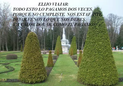 Devolución del dinero e indemnización