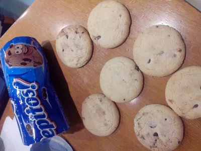 Las pepitos terrabusi ya no tienen chocolate