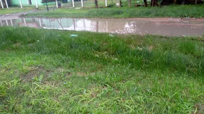 Urgente.mejora de las calles en claypole