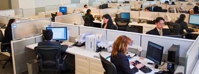 Consulta