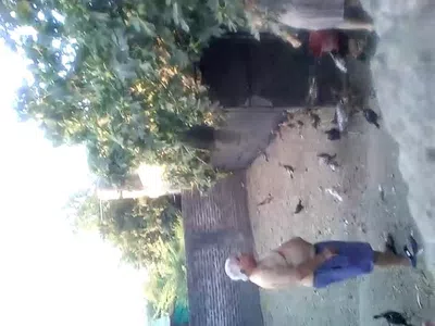 Queja