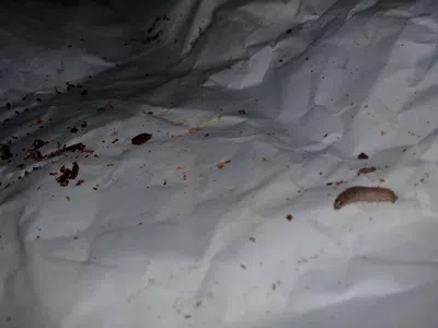 Simplemente un descargo