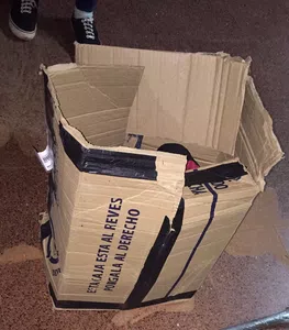 Que me reconozcan la plata del seguro