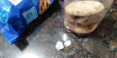 Galletitas pepitos con trozos de plástico en el interior