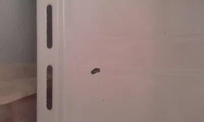 Cambio de producto
