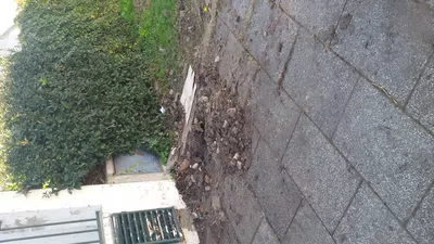 Que me solucionen el error que cometieron yla reparacion de los daños causados