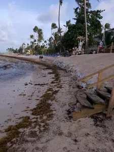 Estafa con paquete a punta cana en el riu república
