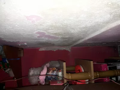 Problema de humedad en mi casa que colinda con el sindicato de aceiteros de dv