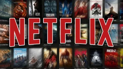 Necesito que payu neflix internacional me informe  que es lo que nos cobra