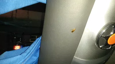 Minimo confort