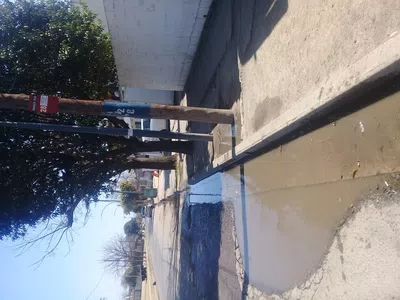 Bache en parada de colectivo