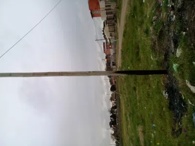El cambio de los palos del tendido electrico
