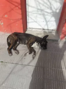 Una solución urgente