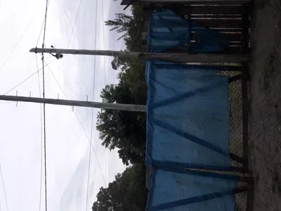 Cambiar el poste