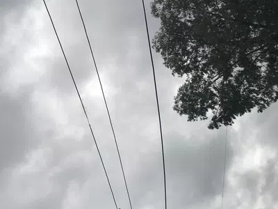 Que me brinden el servicio de luz