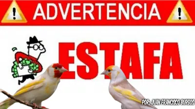 Desconformidad