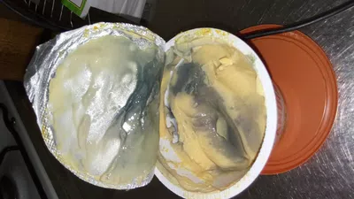 Compré. un queso untable cheddar el viernes pasado y ayer lo encuentro negro