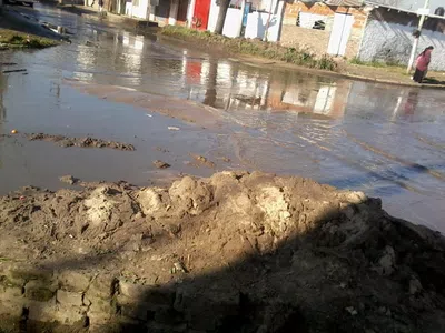 Falta de limpieza y recolección de ramas