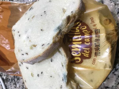 Pan con hongos y crudo