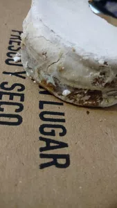 Alfajores grandote con moho