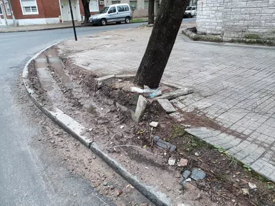 Reparacion daños y no mas circulacion sobre ella