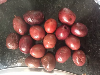 Aceitunas mal estado y demasiado chicas
