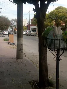 Necesito que la recolección de residuos lo hagan diariamente, pasan y no la llev
