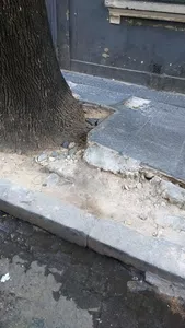 Vereda peligrosa desde hace un año