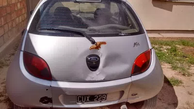 Reclamo de pago por daños a mi movilidad