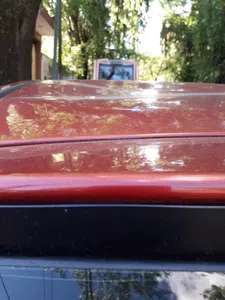 Poda inmediata del ejemplar, tanto en el ancho como en su altura!