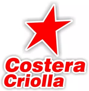 Robo de valija