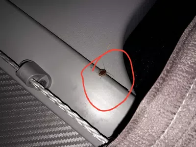 Condiciones mínimas de higiene