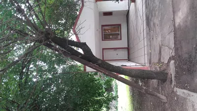 Pongan un poste nuevo ya