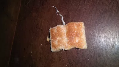 Respuesta reposición y disculpa