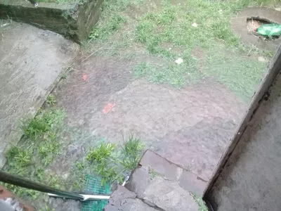 Q destapen la cloaca