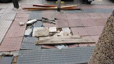 Vereda roota