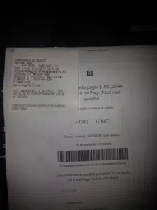 No se cumple los plazos de acreditacion por pago facil