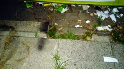 Reubicación campana verde