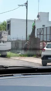 Robo de luz