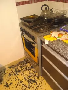 Reparacion del vidioma del horno