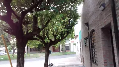 Árboles y cordón peligroso