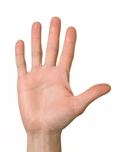Entrega