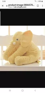 Elefante